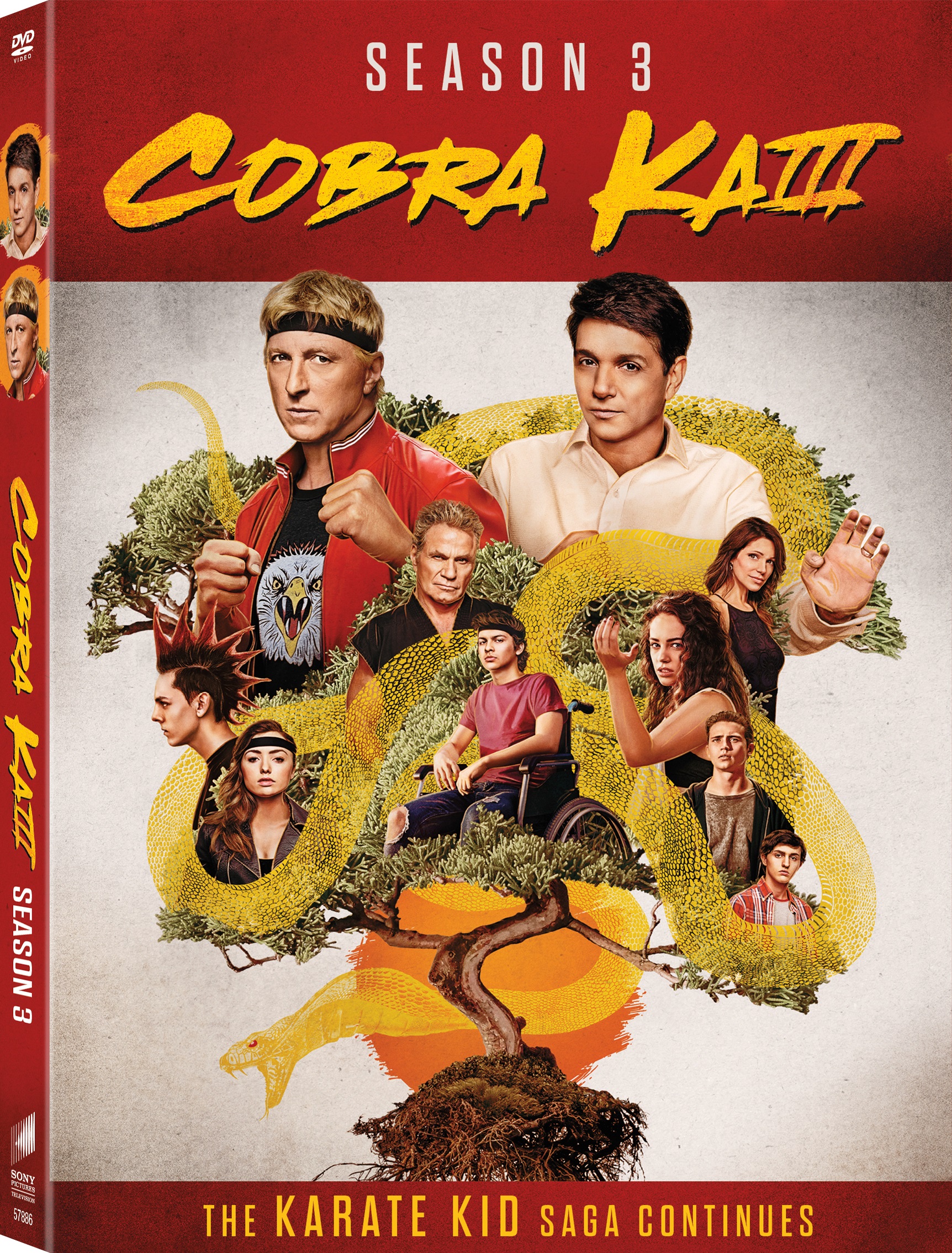 cobra kai season 3 dvd